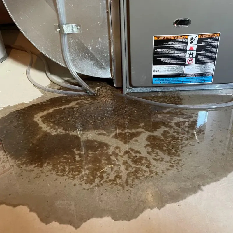 Pipe Burst and Leak Restoration in Ryland Heights, KY